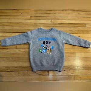 Boys Bluey 3rd Birthday crewneck sweater